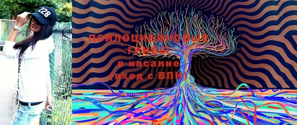 амфетамин Зерноград