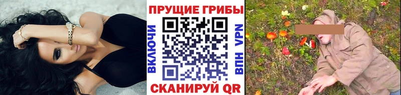 Галлюциногенные грибы GOLDEN TEACHER Ермолино